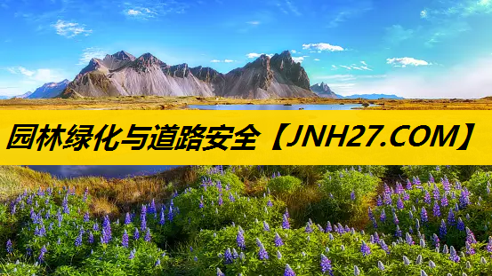 园林绿化与道路安全
