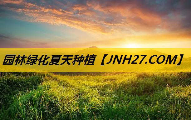 园林绿化夏天种植