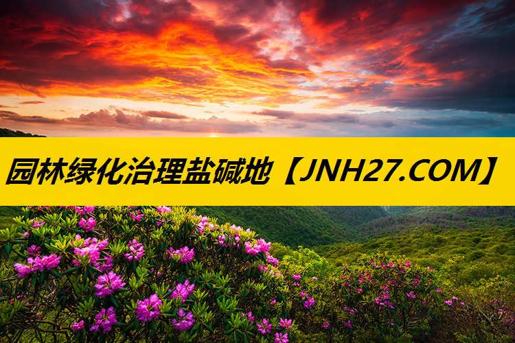 园林绿化治理盐碱地