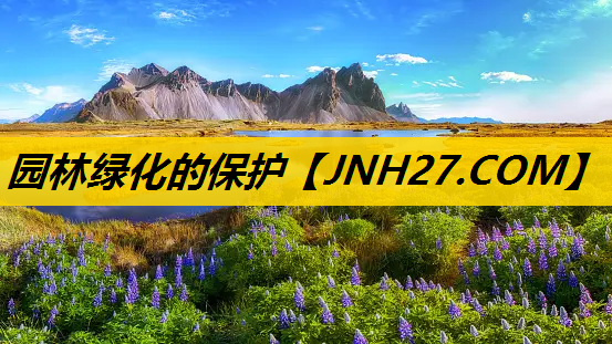 园林绿化的保护