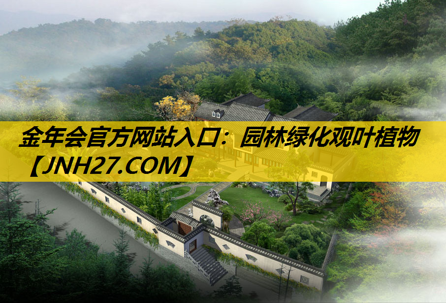园林绿化观叶植物