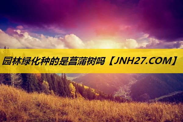 园林绿化种的是菖蒲树吗