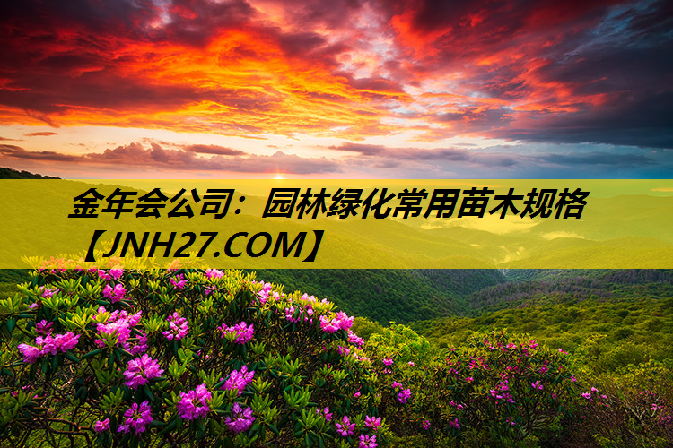 园林绿化常用苗木规格