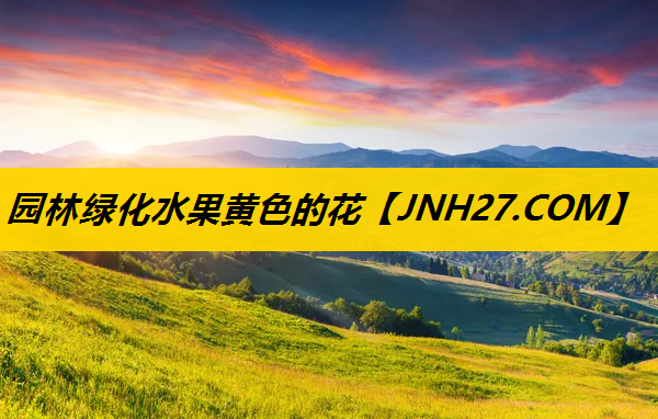 园林绿化水果黄色的花