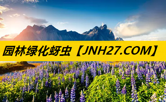 园林绿化蚜虫