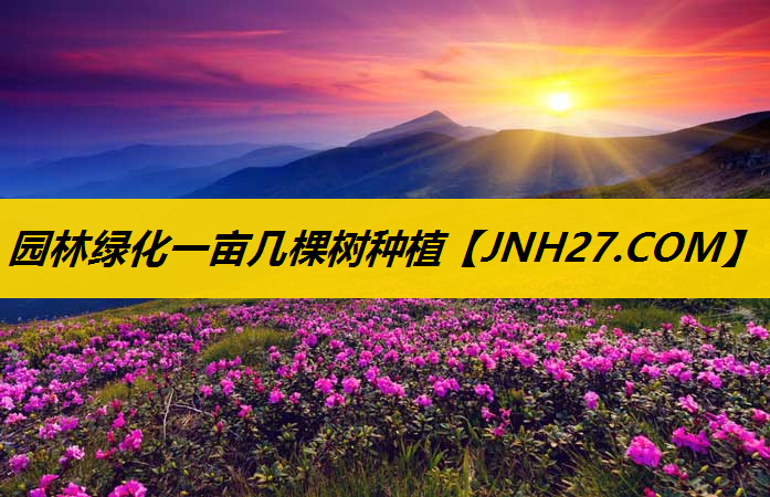 园林绿化一亩几棵树种植