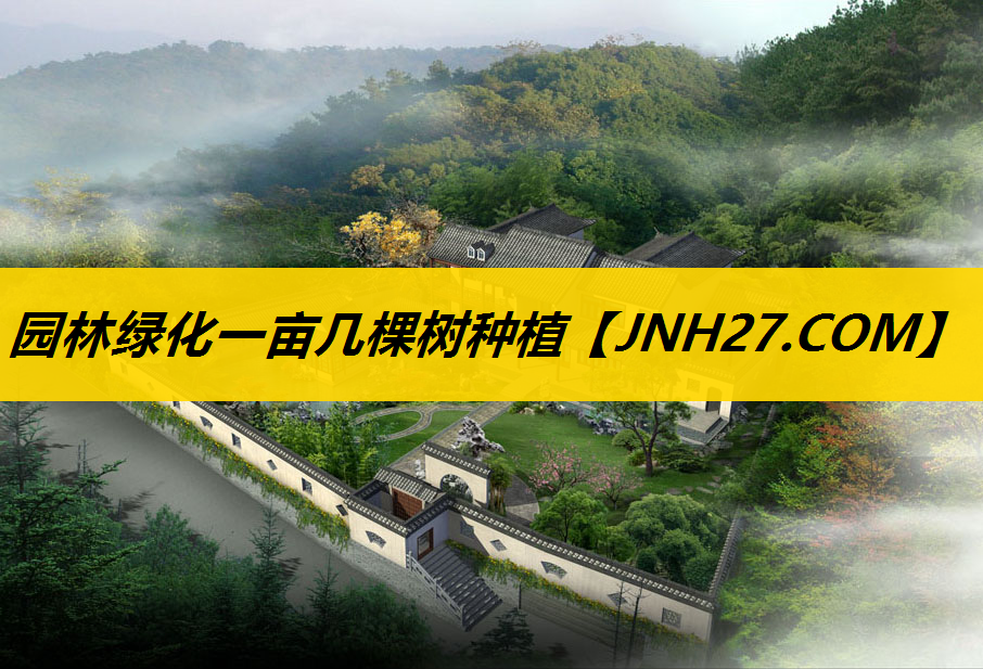 园林绿化一亩几棵树种植