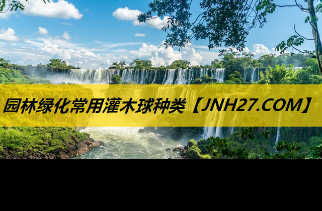 园林绿化常用灌木球种类