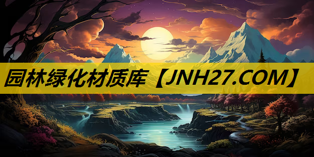 园林绿化材质库