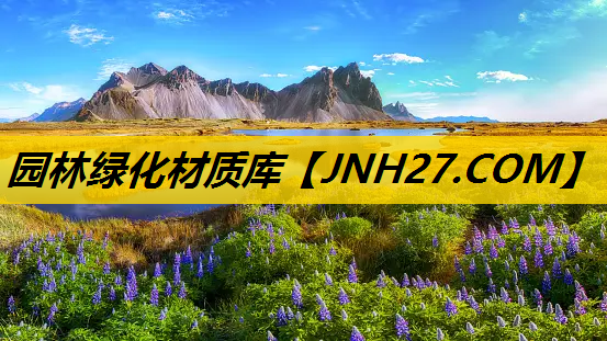 园林绿化材质库