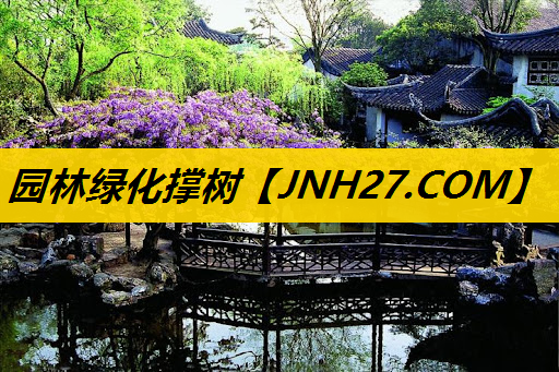园林绿化撑树
