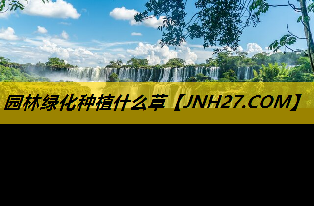 园林绿化种植什么草