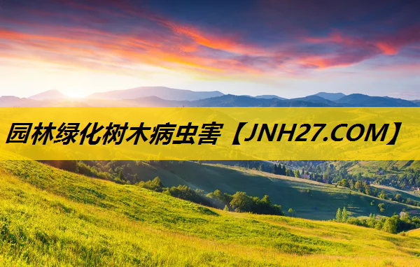 园林绿化树木病虫害