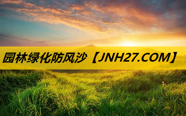 园林绿化防风沙