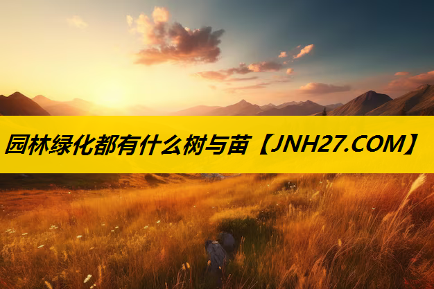 园林绿化都有什么树与苗