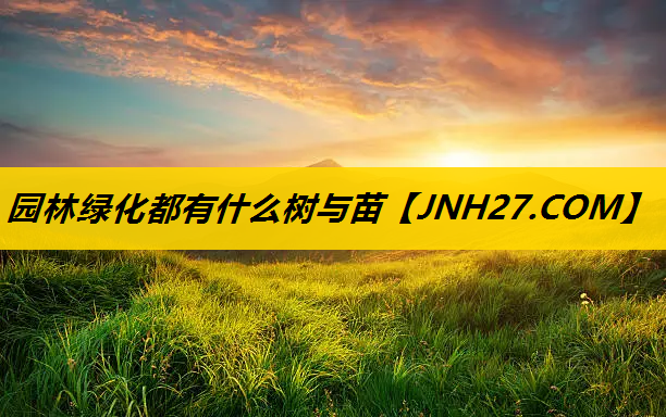 园林绿化都有什么树与苗