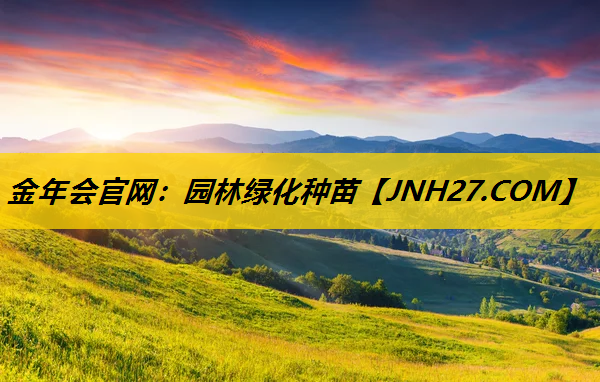园林绿化种苗