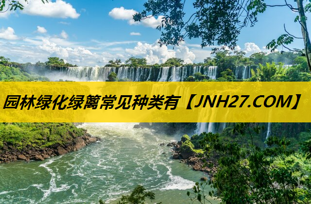 园林绿化绿篱常见种类有