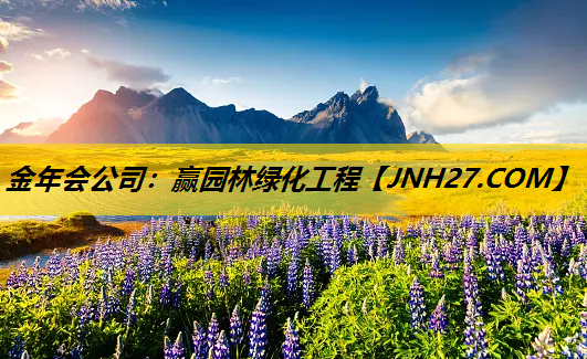 赢园林绿化工程
